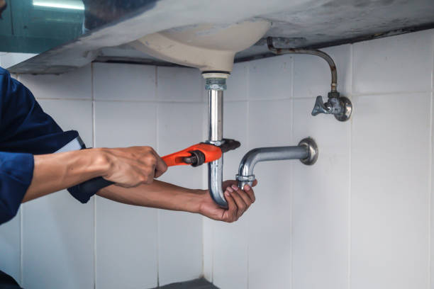 Best Plumbing Inspection Services  in Somerville, TX